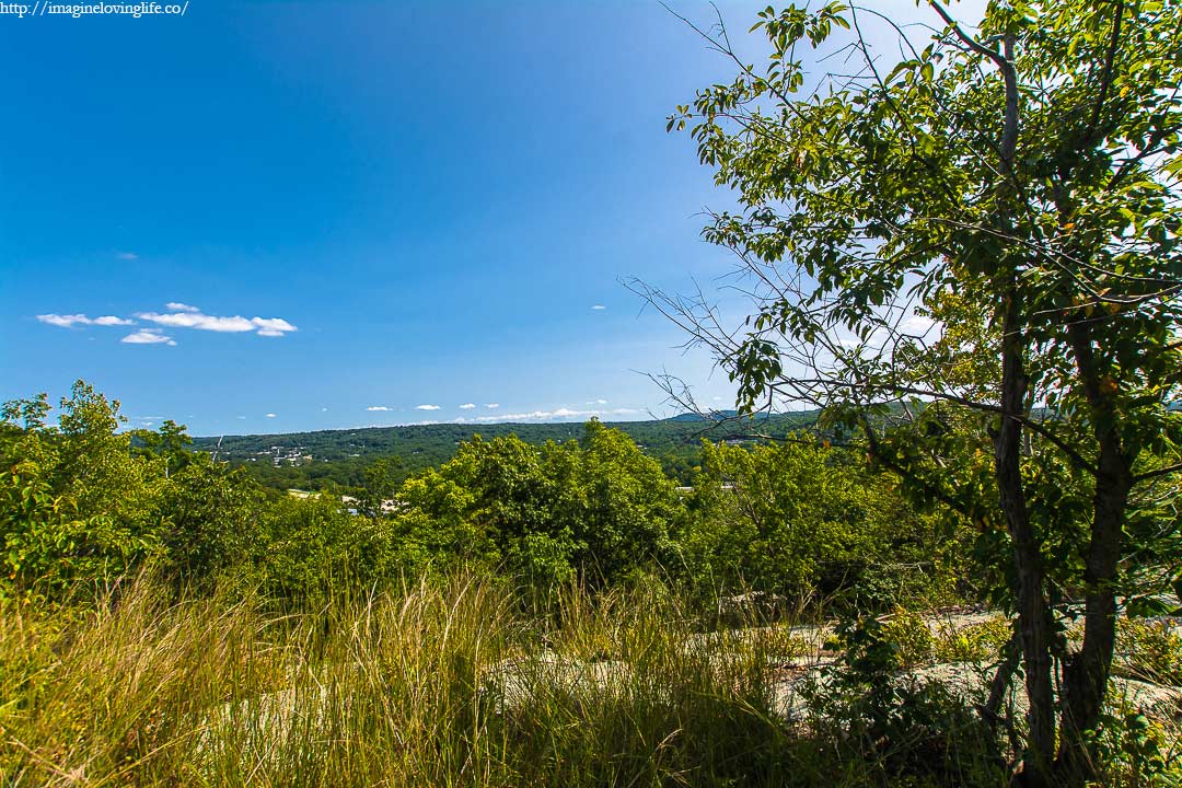 Yellow Trail Top